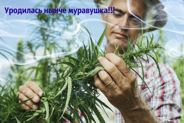 Кракен тор krakens13 at