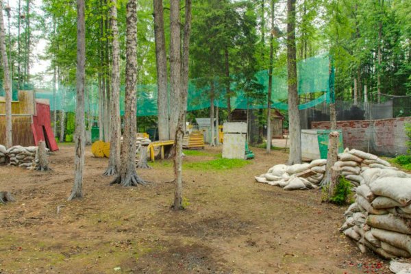 Кракен онион ссылки